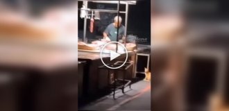 Сходка рыжей пушистой банды