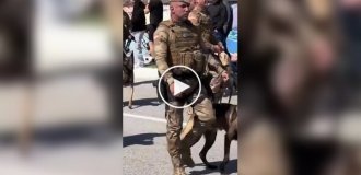 С ретривером не соскучишься