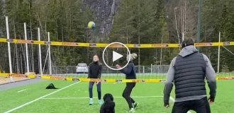 A dog plays volleyball with people