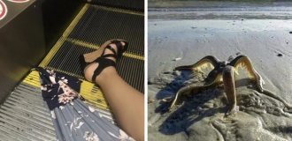 19+ фотографий, способных вызвать неприятные эмоции и даже ужас у самых впечатлительных (23 фото)