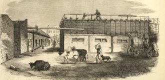 «Можем отлично заработать, но погибнут тысячи младенцев». Недолго думая, капиталист ответил: «Доставайте счёты, пора считать денежки!» (3 фото)