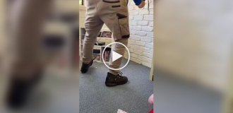 Venomous snake caught in an Australian child's bedroom