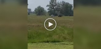 Chasing a tractor in a field