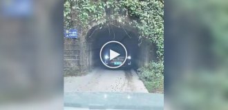 Знаменитый узкий тоннель в Чунцине