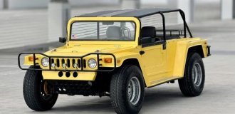 Compact Hummer H1 based on the Beetle put up for sale (17 photos)