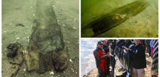 Prehistoric canoes found at the bottom of a lake in Wisconsin (10 photos)