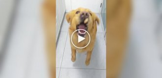Природный измельчитель пищевых отходов