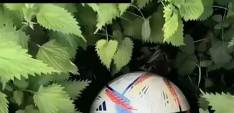 Лучшие шутки и мемы из Сети. Выпуск 724 (11 картинок)