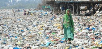 How plastic is sorted in Indian slums (13 photos)