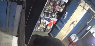 Медведь ночью устроил ревизию в магазине