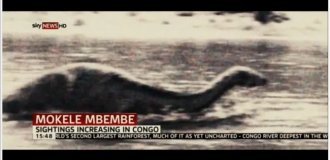 У пошуках Мокеле-мбембе (4 фото)