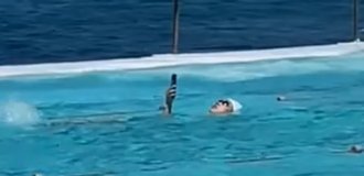 The Most Dystopian Spectacle: A Woman Swims with a Phone in Her Hand (2 photos + 1 video)