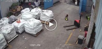 Когда папа взял с собой на работу