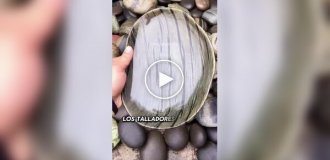 When collecting rocks on the beach reached a new level