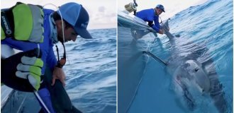 A man caught a huge shark on a hook while fishing (4 photos + 1 video)
