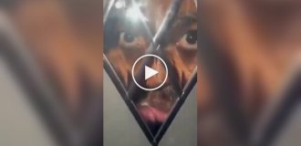 В Англии неизвестный ночью смотрел в стеклянную дверь дома