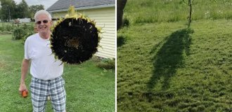 19 фото с садовых участков, которые показывают, что там можно найти не только грядки (19 фото)