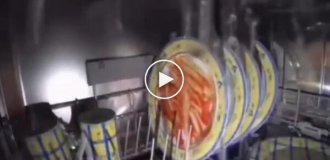 Як насправді працює посудомийна машина