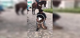 Мужчина против 3-метрового удава