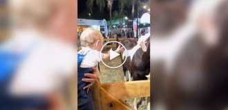 Самая теплая сцена дня: объятия малыша с лошадью покорили сеть