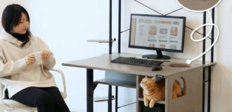 Стол для компьютера и вашего пушистика (5 фото)