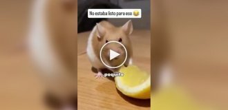 Животные (короткие видео). Выпуск 105
