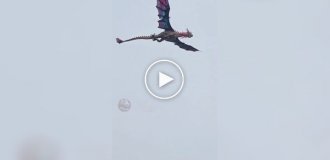 Житель Китая создал эффектного дракона из пенопласта