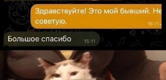Лучшие шутки и мемы из Сети. Выпуск 703