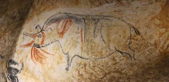 Пещерные рисунки Шове - древнейшие доисторические фрески (10 фото)