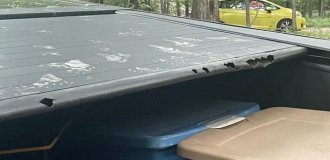 Raccoons damaged a Tesla Cybertruck, confusing it with a trash can (3 photos)