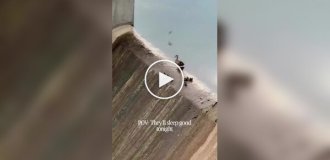Утиный спецназ