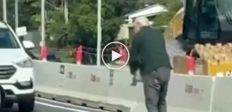 Пожилой австралиец перенес выбежавшую на дорогу коалу