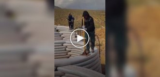 Как строят дома из утрамбованной земли по технологии SuperAdobe