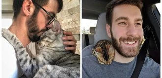 17 heartwarming photos of "dads" and their mustachioed pets (18 photos)