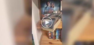 Сериал «Секретные материалы» выпустили на дискетах