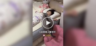 Кот добился своего