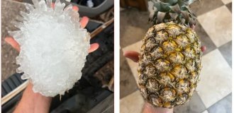 Как ананас: техасские охотники за ураганами показали огромную колючую градину (5 фото)