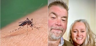 American Receives Combo of Dangerous Viruses After Mosquito Bite (3 photos + 1 video)