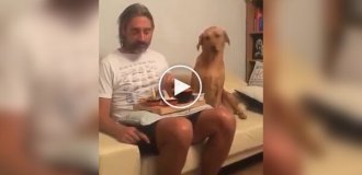 Пес-актер: я не смотрю на твою еду