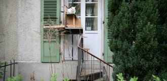 Кошачьи лестницы в Швейцарии (8 фото + видео)
