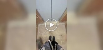 Animals (short videos). Release 94