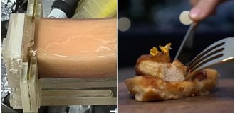 Scientists Have Come Up with a New Way to Grow Artificial Meat (5 photos)