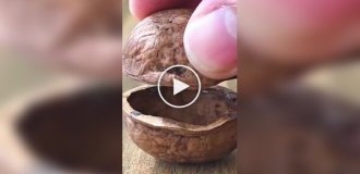 A hidden camera in a walnut