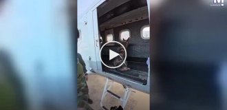 Собака совершила прыжок с самолета вместе с десантником