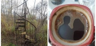 18 finds that prove the strangeness and beauty of our world (19 photos)