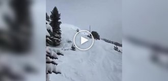 Weird Videos (Short Videos) Issue 26