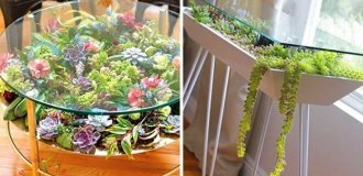 25 Tables Featuring Living Succulent Gardens (26 Photos)