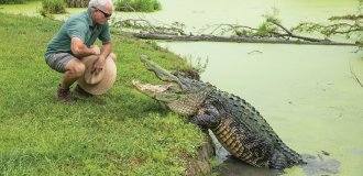 Соседство с аллигаторами во Флориде (7 фото)