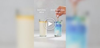 Как отличить оригинальный продукт от подделки