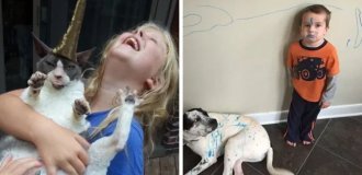 16 Proofs That Life with Children and Pets Is Full of Adventures (17 photos)